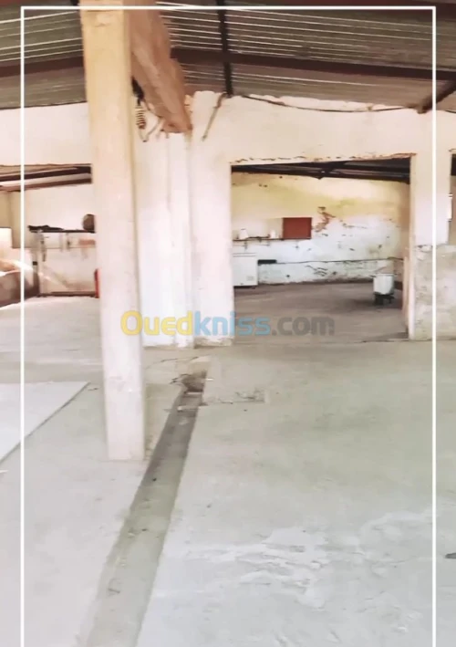 Vente Terrain Agricole Mostaganem Ouled el kheir