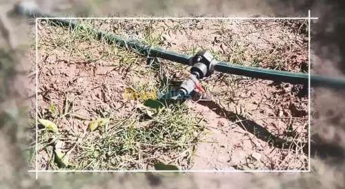 Vente Terrain Agricole Mostaganem Ouled el kheir