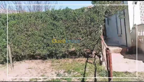 Vente Terrain Agricole Mostaganem Ouled el kheir