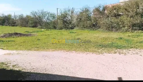 Vente Terrain Agricole Mostaganem Ouled el kheir