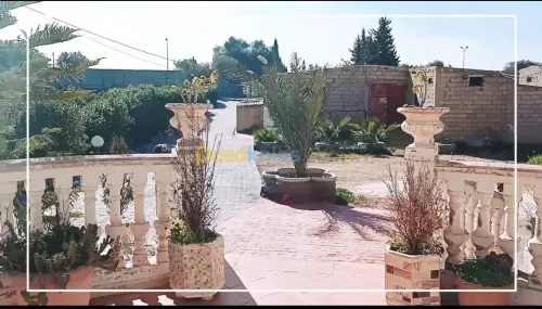 Vente Terrain Agricole Mostaganem Ouled el kheir