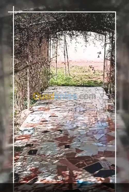 Vente Terrain Agricole Mostaganem Ouled el kheir
