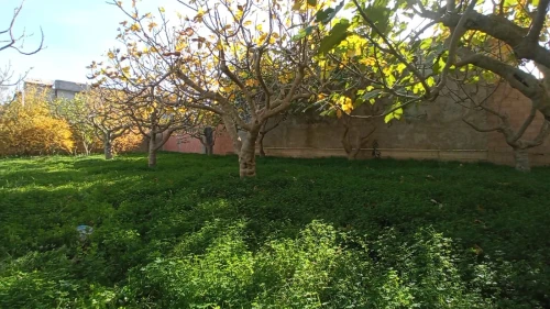 Vente Terrain Blida Ouled selama