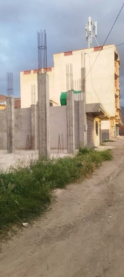 Vente Carcasse Blida Ouled selama
