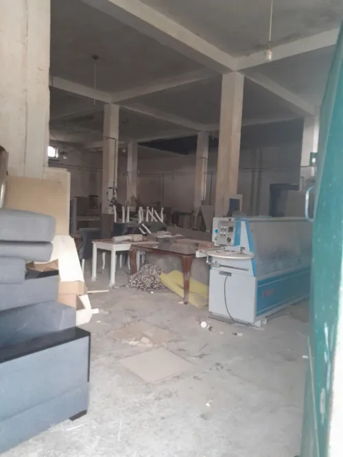 Vente Hangar Tipaza Douaouda