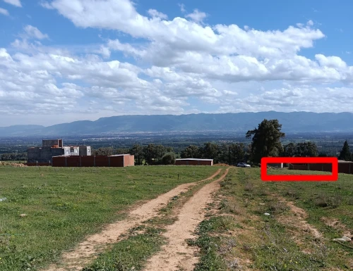 Vente Terrain Tipaza Bou ismail