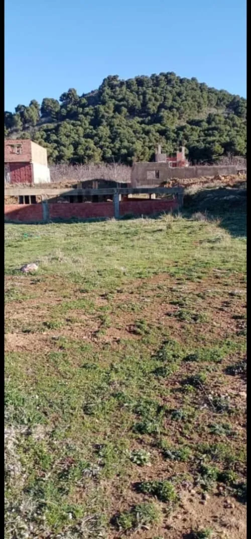 Vente Terrain Tlemcen Mansourah