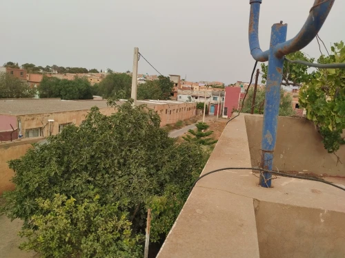 Vente Terrain Sidi Bel Abbès Ben badis