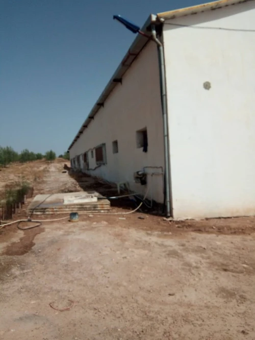 Vente Terrain Agricole Sidi bel abbes Sidi dahou de zairs