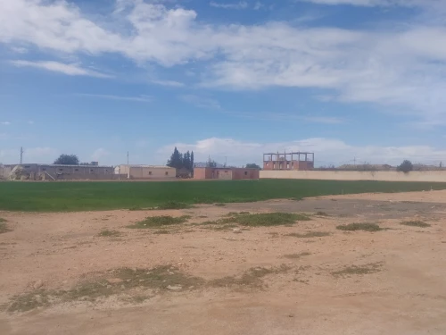 Vente Terrain Sidi Bel Abbès Amarnas