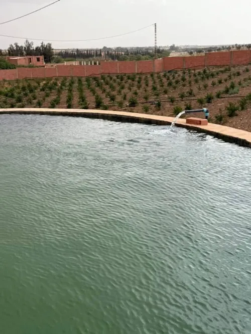 Vente Terrain Agricole Sidi Bel Abbès Lamtar