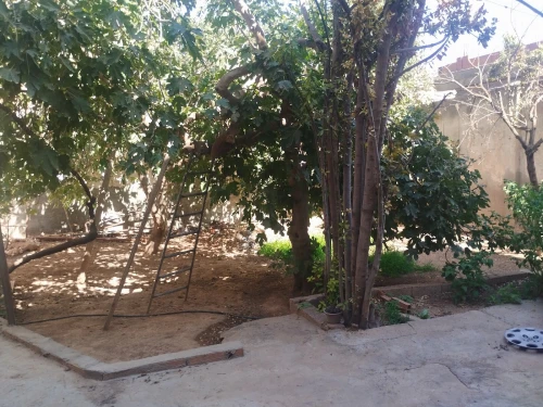 Vente Villa Sidi Bel Abbès Sidi brahim