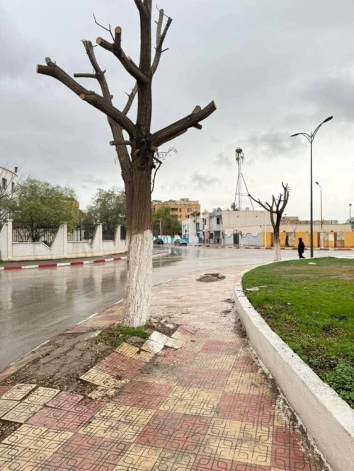 Vente Appartement F3 Sidi Bel Abbès Sidi bel abbes