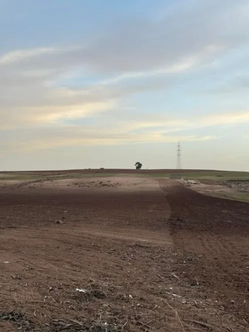 Vente Terrain Sidi Bel Abbès Tilmouni