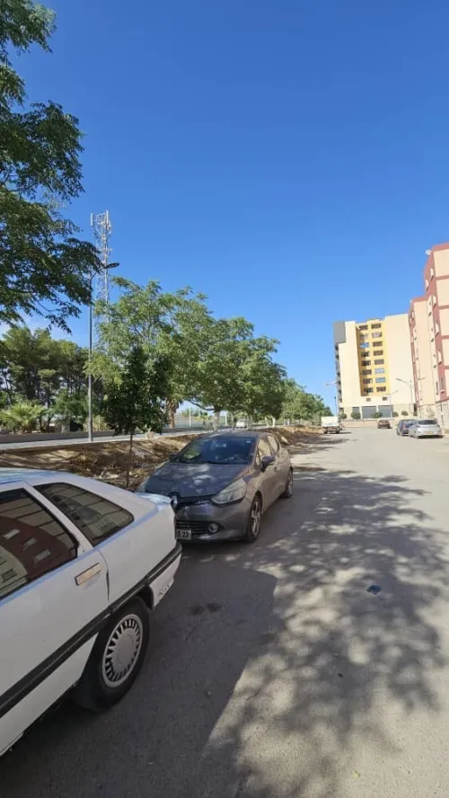 Location Local Sidi Bel Abbès Sidi bel abbes