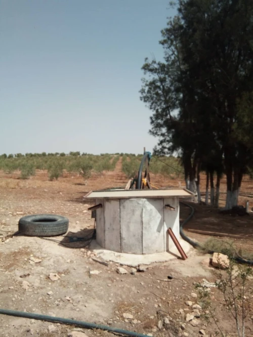 Vente Terrain Agricole Sidi bel abbes Sidi dahou de zairs