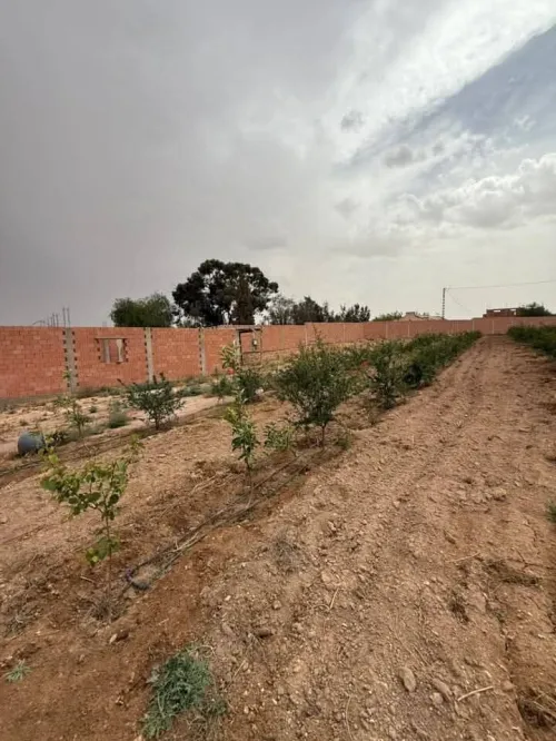 Vente Terrain Agricole Sidi Bel Abbès Lamtar