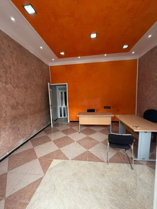 Vente Local Sidi Bel Abbès Sidi bel abbes