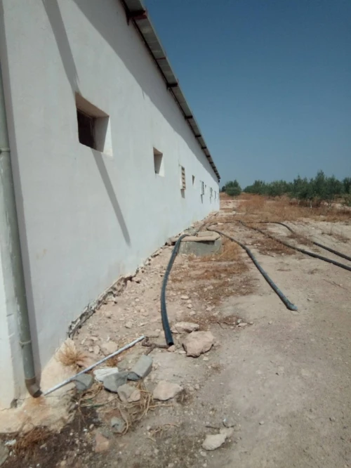 Vente Terrain Agricole Sidi bel abbes Sidi dahou de zairs