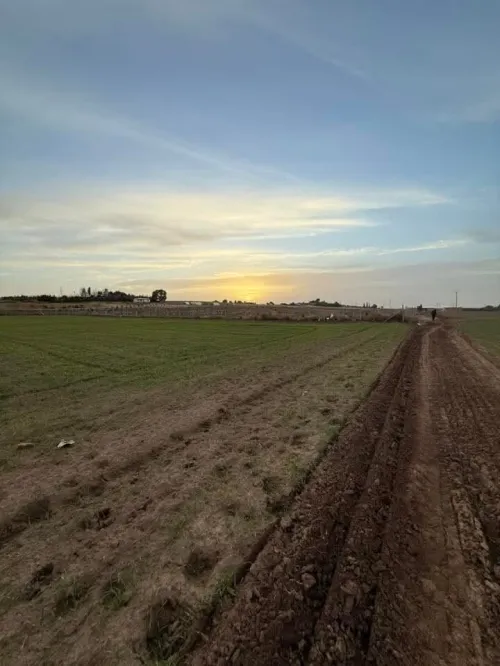 Vente Terrain Sidi Bel Abbès Tilmouni