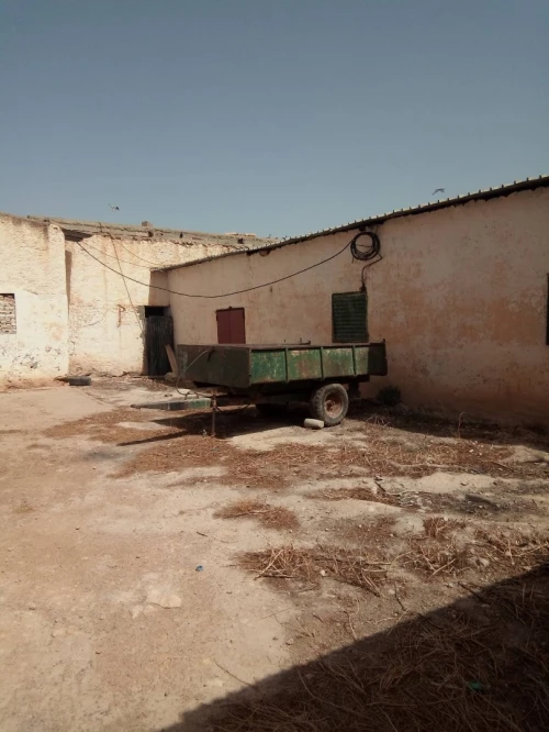 Vente Terrain Agricole Sidi bel abbes Sidi dahou de zairs