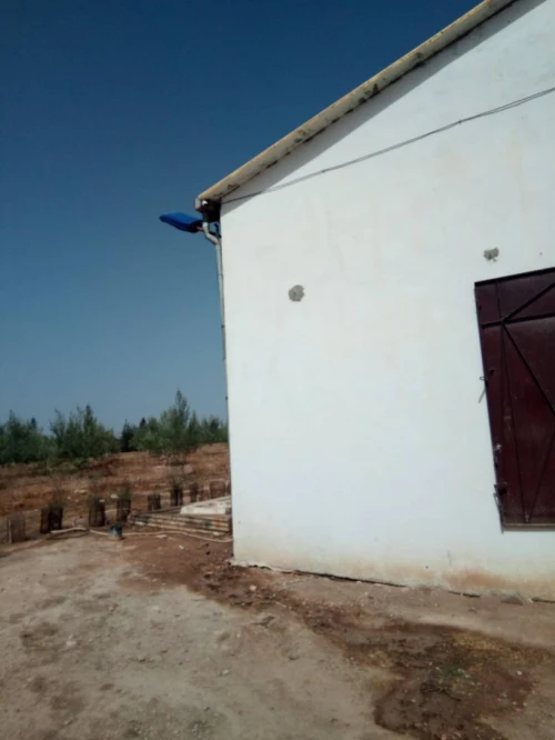 Vente Terrain Agricole Sidi bel abbes Sidi dahou de zairs