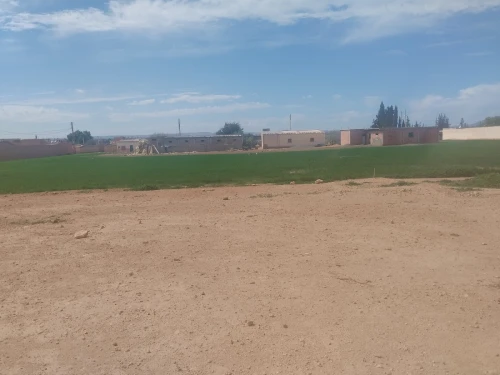 Vente Terrain Sidi Bel Abbès Amarnas
