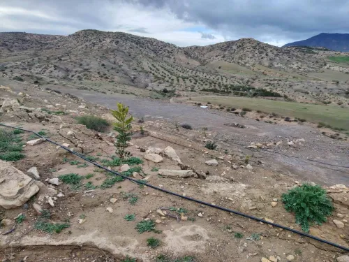Vente Terrain Agricole Bordj Bou Arreridj Medjana