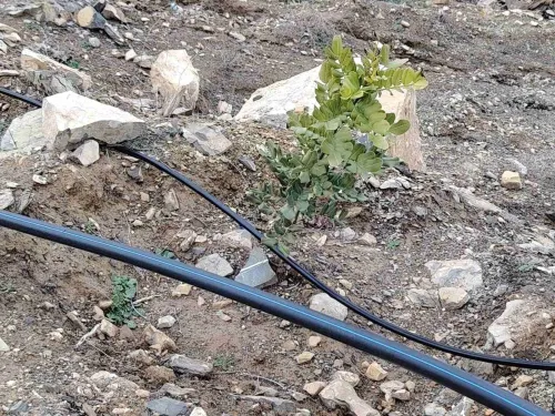 Vente Terrain Agricole Bordj Bou Arreridj Medjana