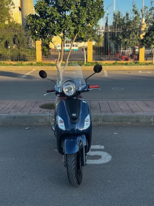Sym Fidell 3 2025