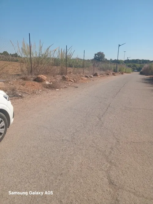 Vente Terrain Alger Zeralda