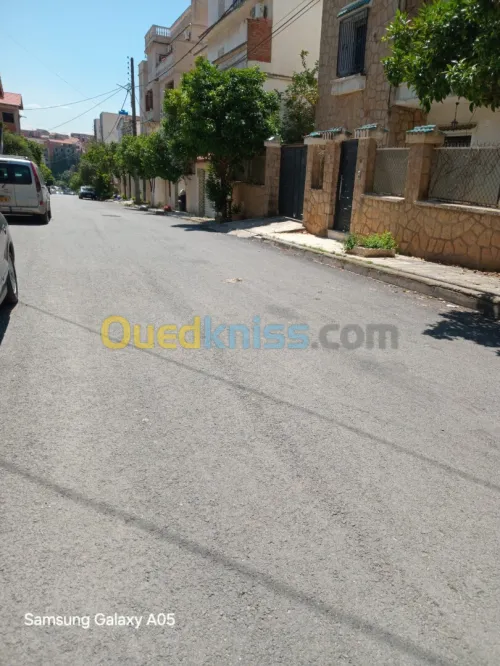 Vente Terrain Alger Ben aknoun