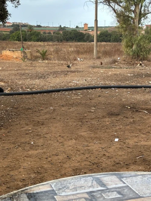 Vente Terrain Mostaganem Hassi maameche