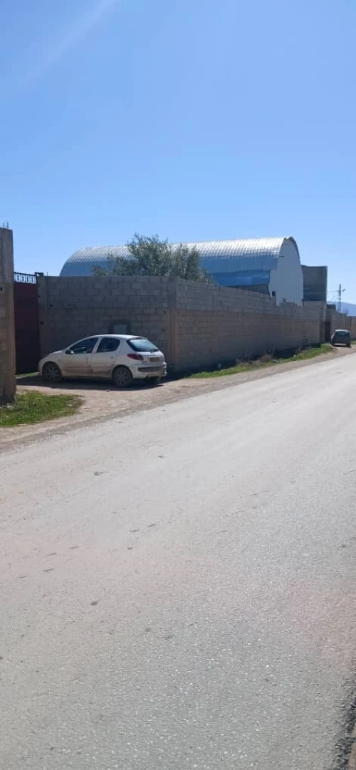 Location Hangar - Usine Sétif Guidjel