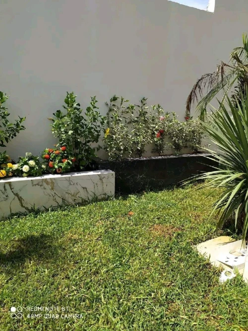 Gazon تهيئة الحدائق و المساحات الخضراء 
