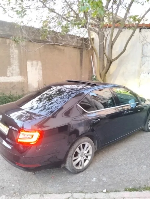 Skoda Octavia 2019 Clever