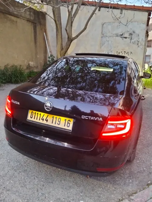 Skoda Octavia 2019 Clever