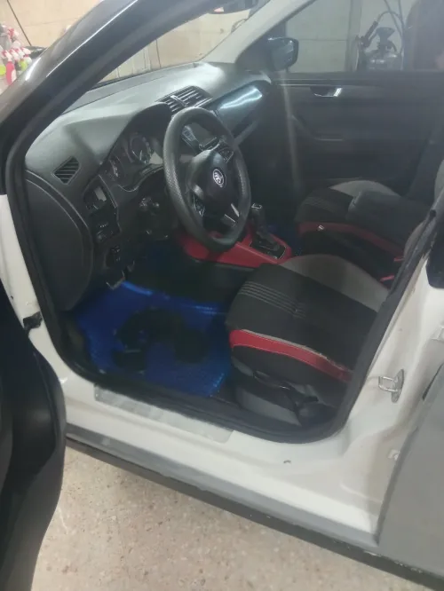 Skoda Fabia 2019 Monte Carlo