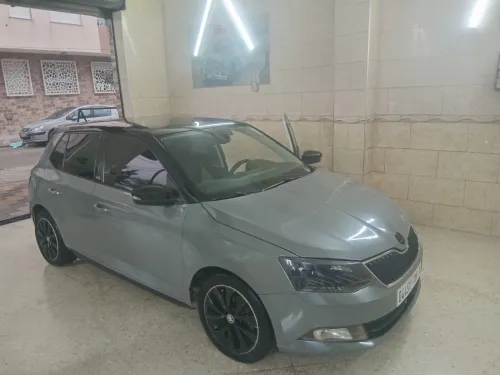 Skoda Fabia 2019 Monte Carlo