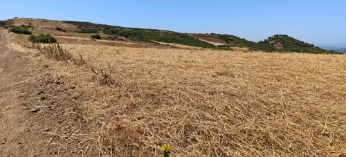 Vente Terrain Agricole Boumerdès Djinet 3