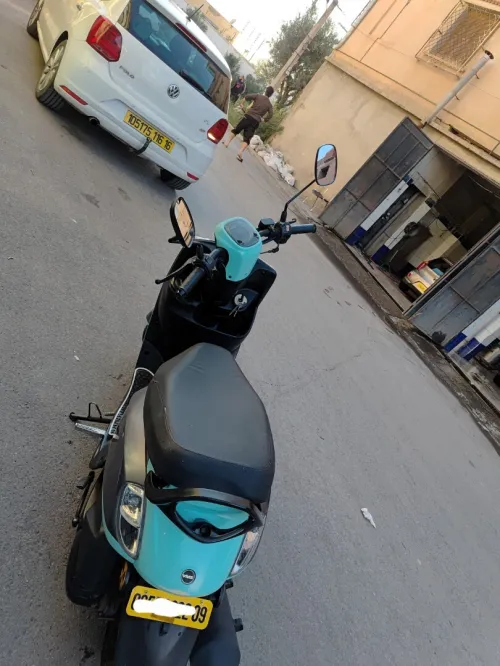 Vms Estate 2022