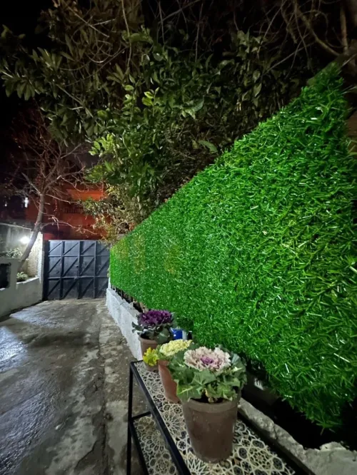 Location vacances Appartement Niveau de villa F2 Alger Dely brahim