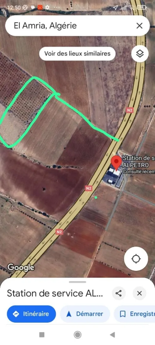Vente Terrain Aïn Témouchent Ain temouchent