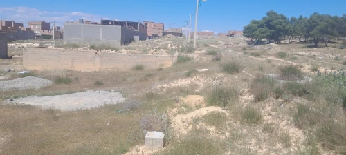 Vente Terrain Oum El Bouaghi Ain beida