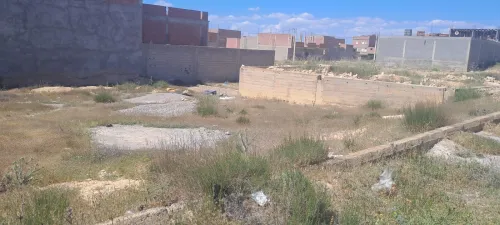 Vente Terrain Oum El Bouaghi Ain beida