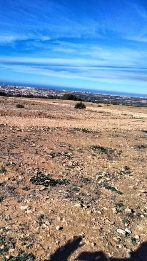 Vente Terrain Mostaganem Hassi maameche