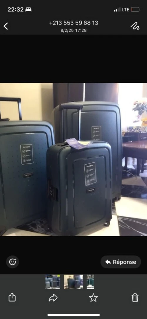 Valise SAMSONITE et DELSEY