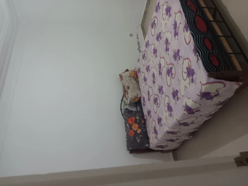 Location Appartement Studio F2 F3 Jijel Jijel