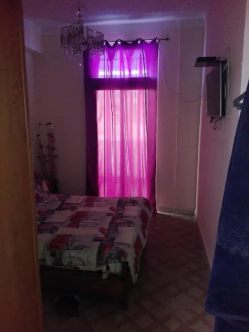 Location Appartement F3 Alger Alger centre
