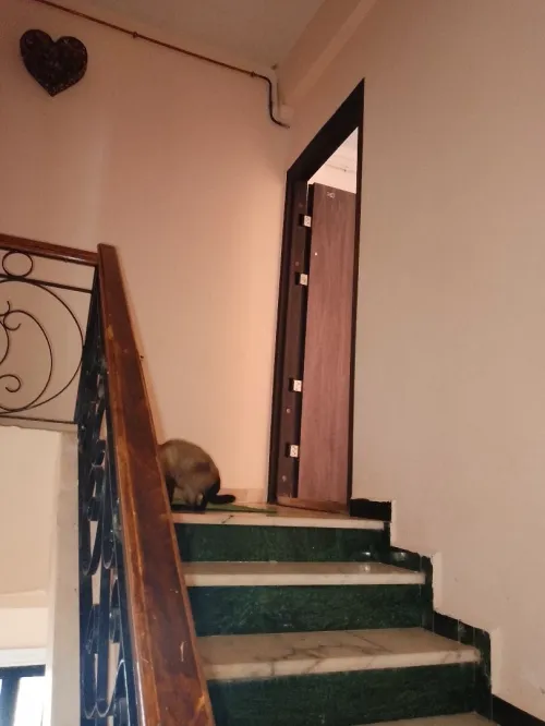 Cherche location Villa Tipaza Cherchell